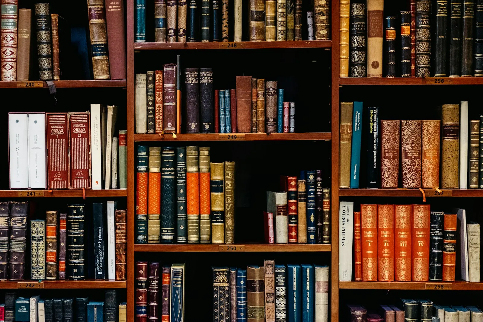 Rayonnages d'une bibliothèque de classe préparatoire aux grandes écoles