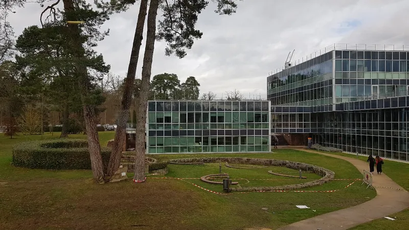 La cour arborée du campus de l’INSEAD à Fontainebleau, entre deux bâtiments vitrés